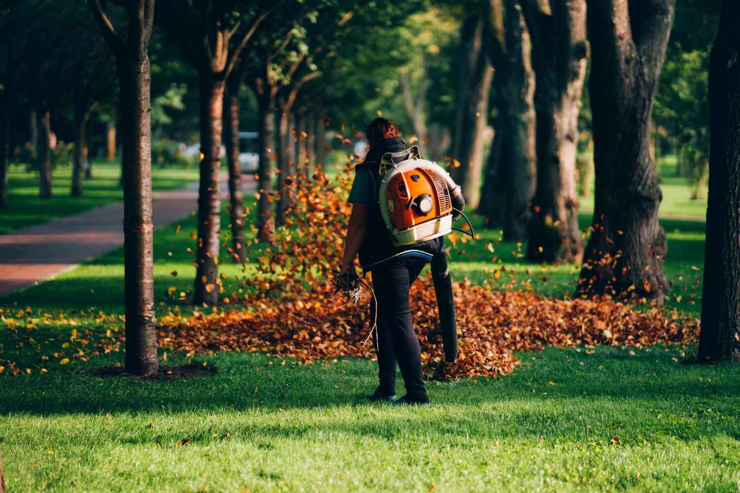 Tree Removal for Businesses in Shoreview, MN